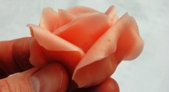 Johnyho růže z marcipánu / -1.